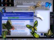 Butterfly Desktop 3D Screensaver screenshot